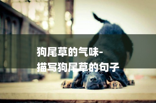 狗尾草的氣味-
描寫狗尾草的句子