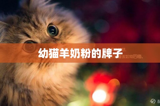 幼貓羊奶粉的牌子