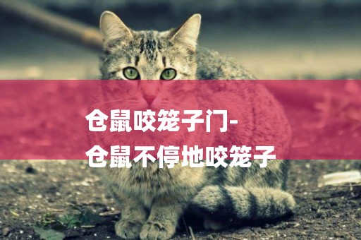 倉鼠咬籠子門-
倉鼠不停地咬籠子
