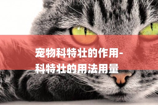 寵物科特壯的作用-
科特壯的用法用量