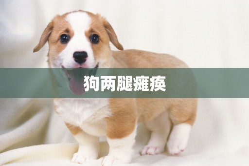 狗兩腿癱瘓