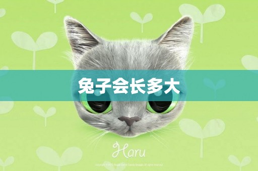 兔子會長多大