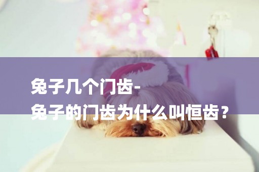 兔子幾個門齒-
兔子的門齒為什么叫恒齒？
