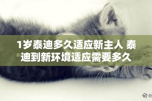 1歲泰迪多久適應新主人 泰迪到新環境適應需要多久