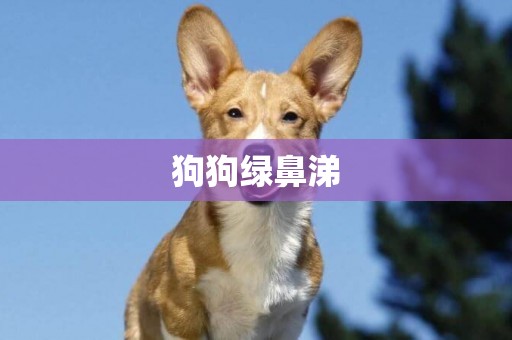 狗狗綠鼻涕