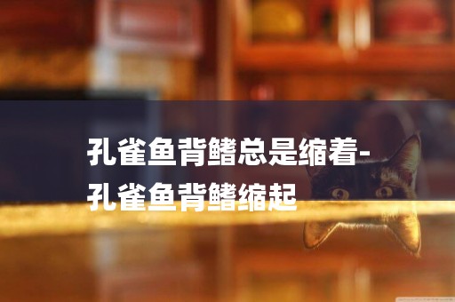 孔雀魚背鰭總是縮著-
孔雀魚背鰭縮起