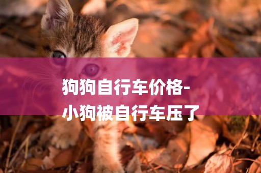 狗狗自行車價格-
小狗被自行車壓了