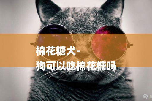 棉花糖犬-
狗可以吃棉花糖嗎