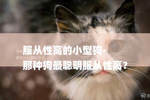 服從性高的小型狗-
那種狗最聰明服從性高？
