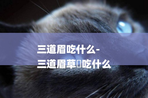 三道眉吃什么-
三道眉草鵐吃什么