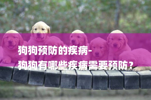 狗狗預防的疾病-
狗狗有哪些疾病需要預防？
