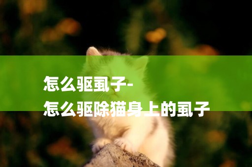 怎么驅虱子-
怎么驅除貓身上的虱子