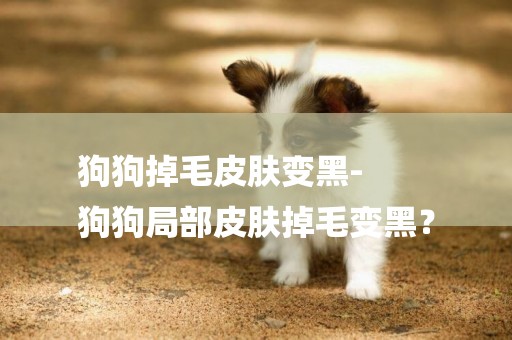 狗狗掉毛皮膚變黑-
狗狗局部皮膚掉毛變黑？
