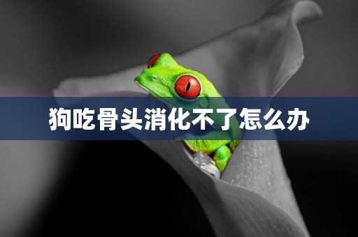 狗吃骨頭消化不了怎么辦