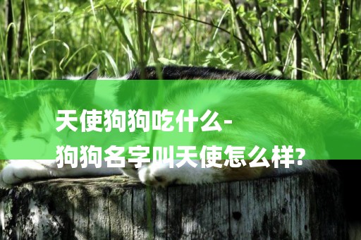 天使狗狗吃什么-
狗狗名字叫天使怎么樣?