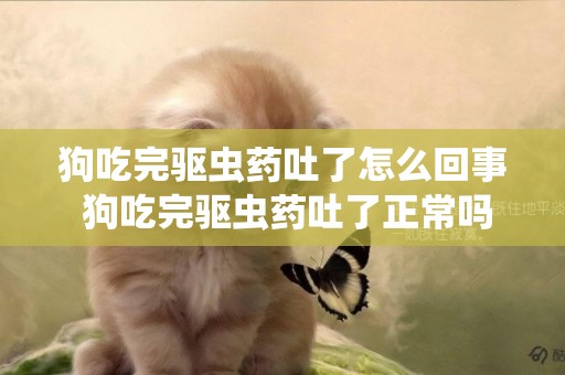 狗吃完驅蟲藥吐了怎么回事 狗吃完驅蟲藥吐了正常嗎