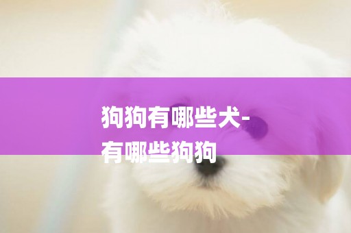 狗狗有哪些犬-
有哪些狗狗