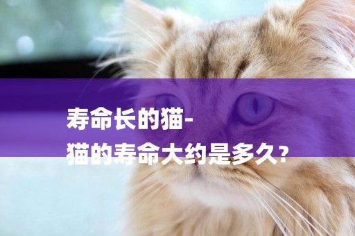 壽命長的貓-
貓的壽命大約是多久?