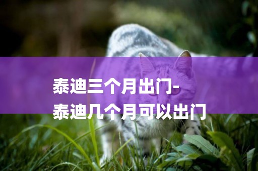 泰迪三個月出門-
泰迪幾個月可以出門