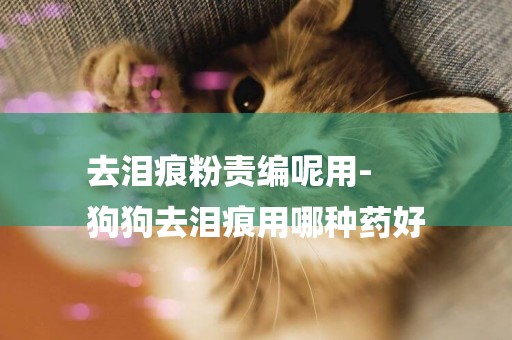 去淚痕粉責編呢用-
狗狗去淚痕用哪種藥好