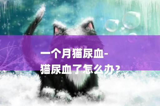 一個月貓尿血-
貓尿血了怎么辦？