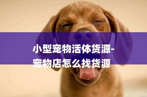 小型寵物活體貨源-
寵物店怎么找貨源