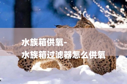 水族箱供氧-
水族箱過濾器怎么供氧