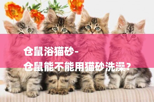 倉鼠浴貓砂-
倉鼠能不能用貓砂洗澡？
