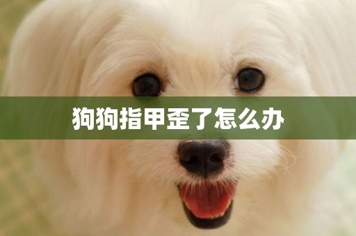 狗狗指甲歪了怎么辦