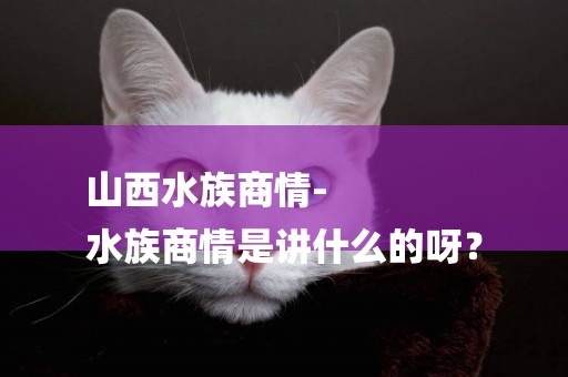 山西水族商情-
水族商情是講什么的呀？