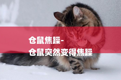 倉鼠焦躁-
倉鼠突然變得焦躁