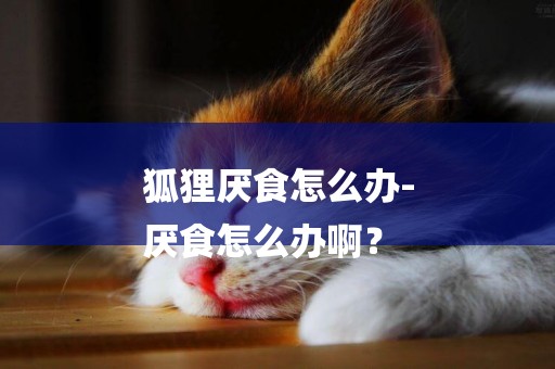 狐貍厭食怎么辦-
厭食怎么辦啊？