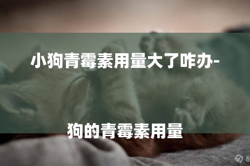 小狗青霉素用量大了咋辦-
狗的青霉素用量