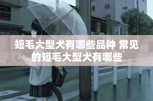 短毛大型犬有哪些品種 常見的短毛大型犬有哪些