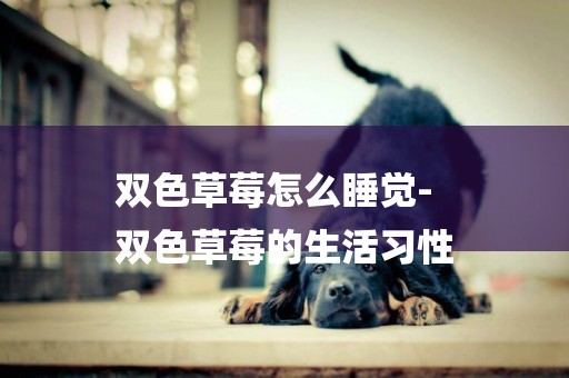 雙色草莓怎么睡覺-
雙色草莓的生活習性