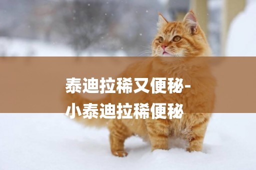 泰迪拉稀又便秘-
小泰迪拉稀便秘