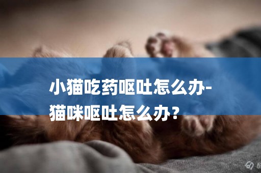 小貓吃藥嘔吐怎么辦-
貓咪嘔吐怎么辦？