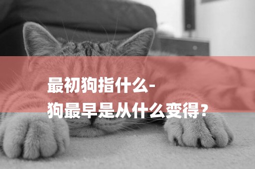 最初狗指什么-
狗最早是從什么變得？