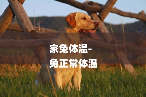 家兔體溫-
兔正常體溫