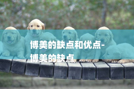 博美的缺點和優點-
博美的缺點