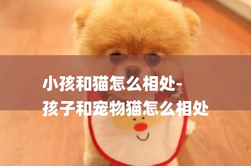 小孩和貓怎么相處-
孩子和寵物貓怎么相處