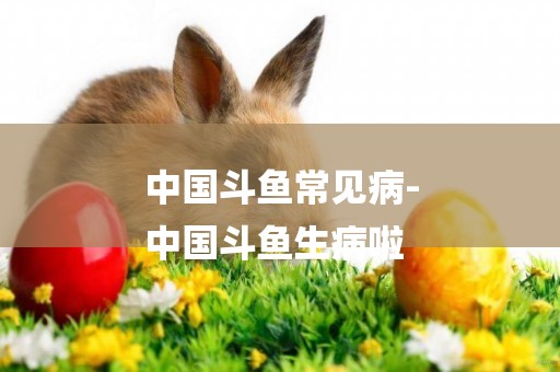 中國斗魚常見病-
中國斗魚生病啦