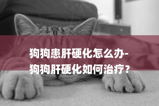 狗狗患肝硬化怎么辦-
狗狗肝硬化如何治療？