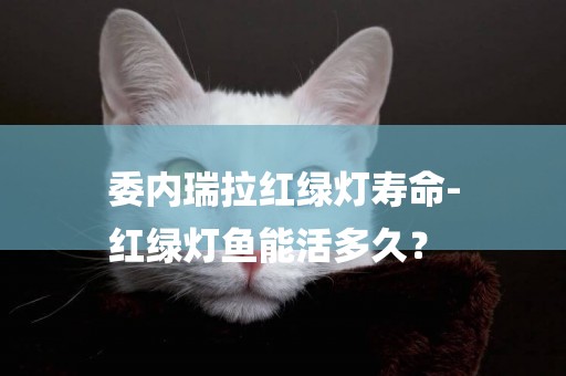 委內瑞拉紅綠燈壽命-
紅綠燈魚能活多久？