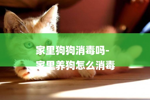 家里狗狗消毒嗎-
家里養狗怎么消毒