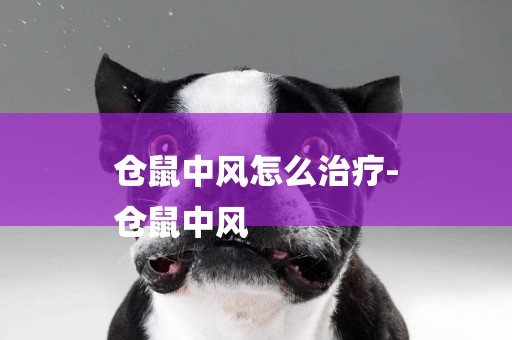 倉鼠中風怎么治療-
倉鼠中風