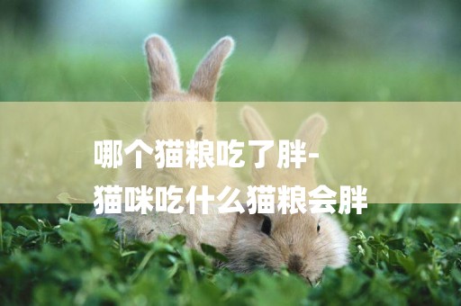 哪個貓糧吃了胖-
貓咪吃什么貓糧會胖
