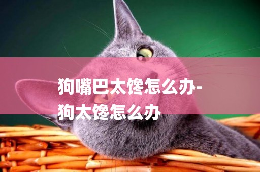 狗嘴巴太饞怎么辦-
狗太饞怎么辦