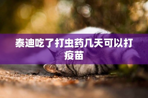 泰迪吃了打蟲藥幾天可以打疫苗