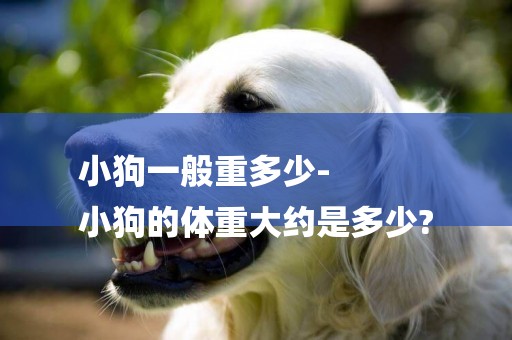 小狗一般重多少-
小狗的體重大約是多少?